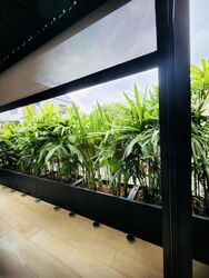 Elizabeth Drive (D23), Terrace #472501881